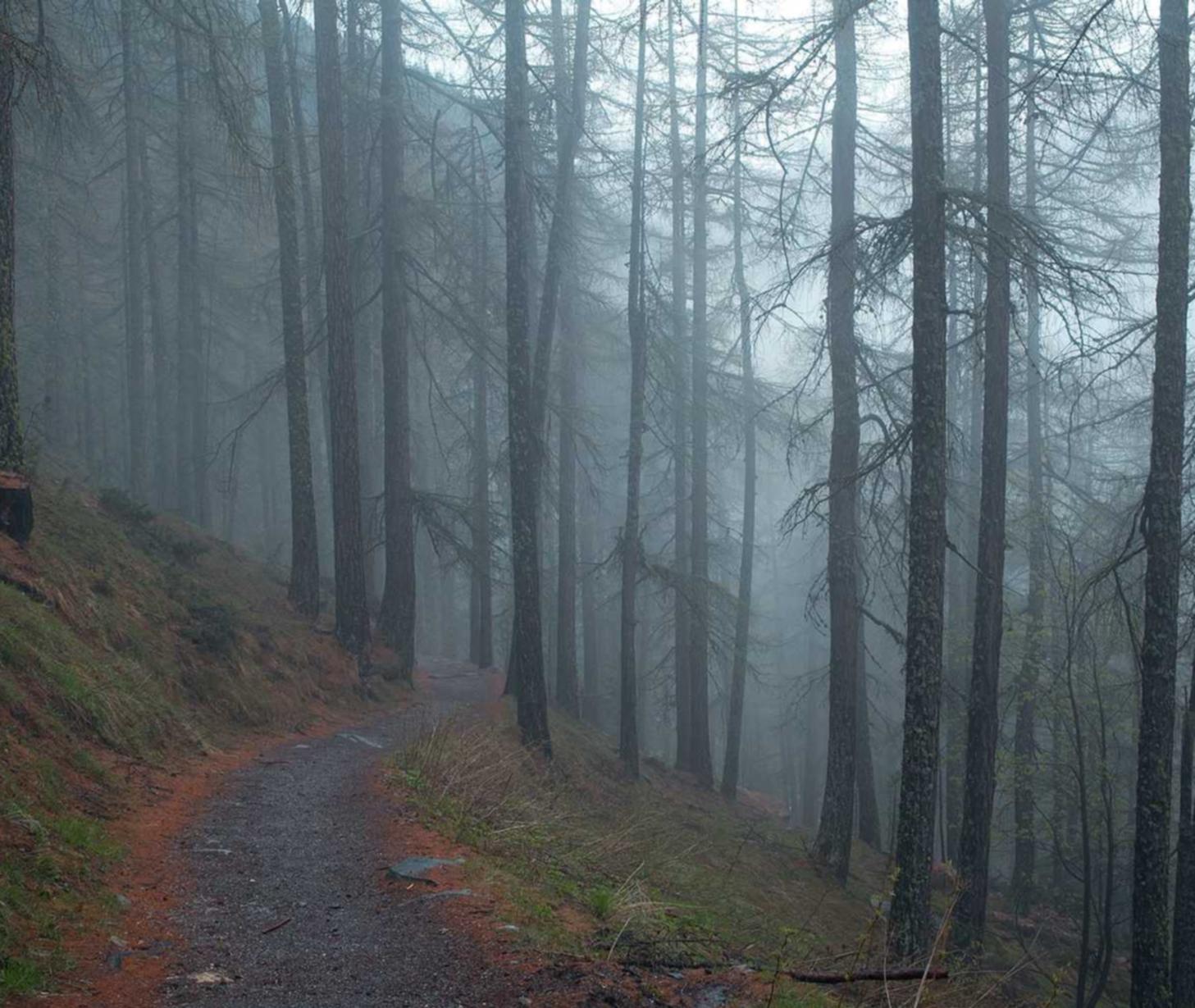 语音阅读器app详情下载教程