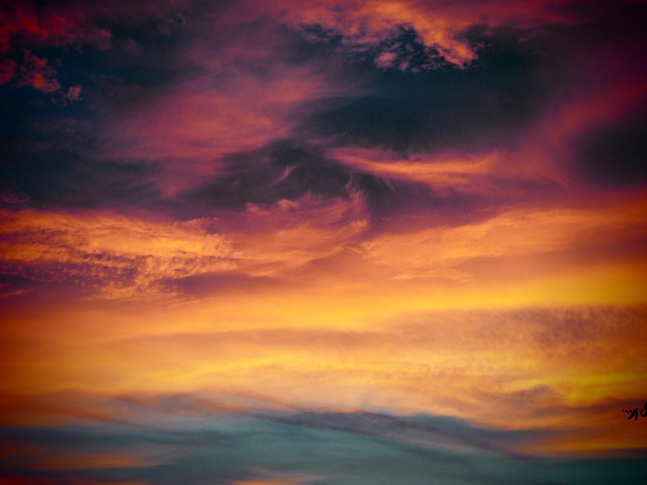 芝麻开门实名账号：怎样注册保险代理