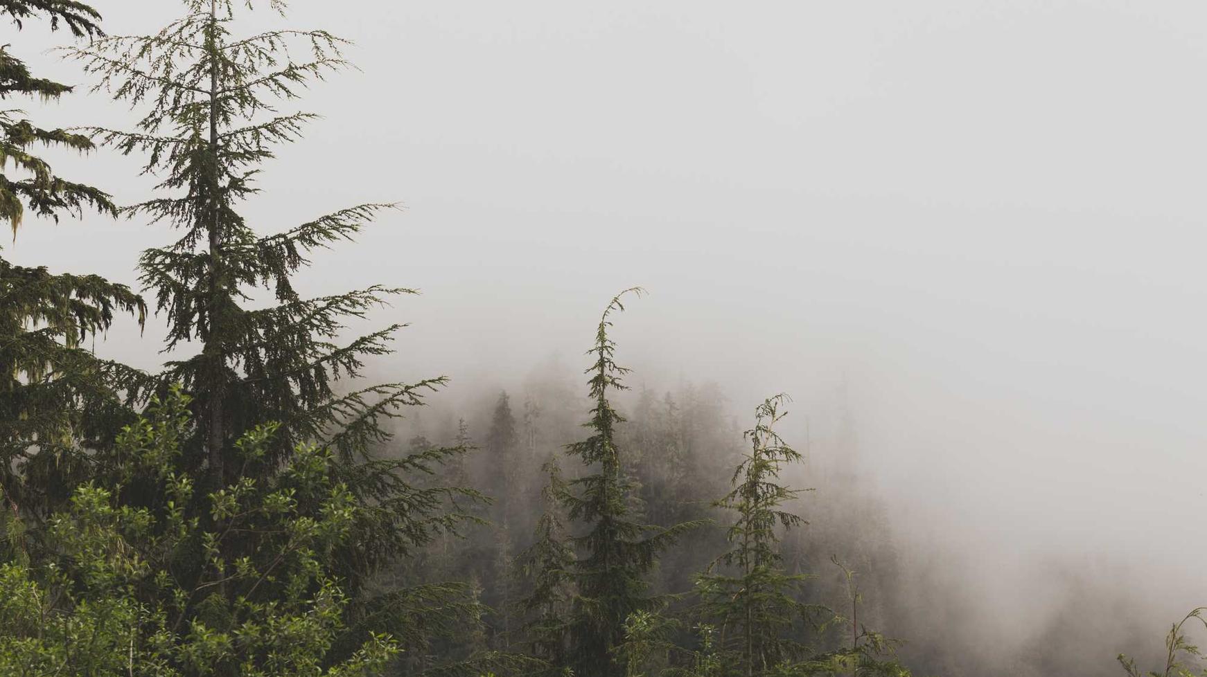 微信号买卖渠道：京麦注册代理怎么注册