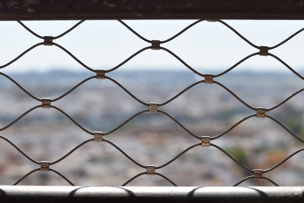 宝博火宝网app详情下载教程不了