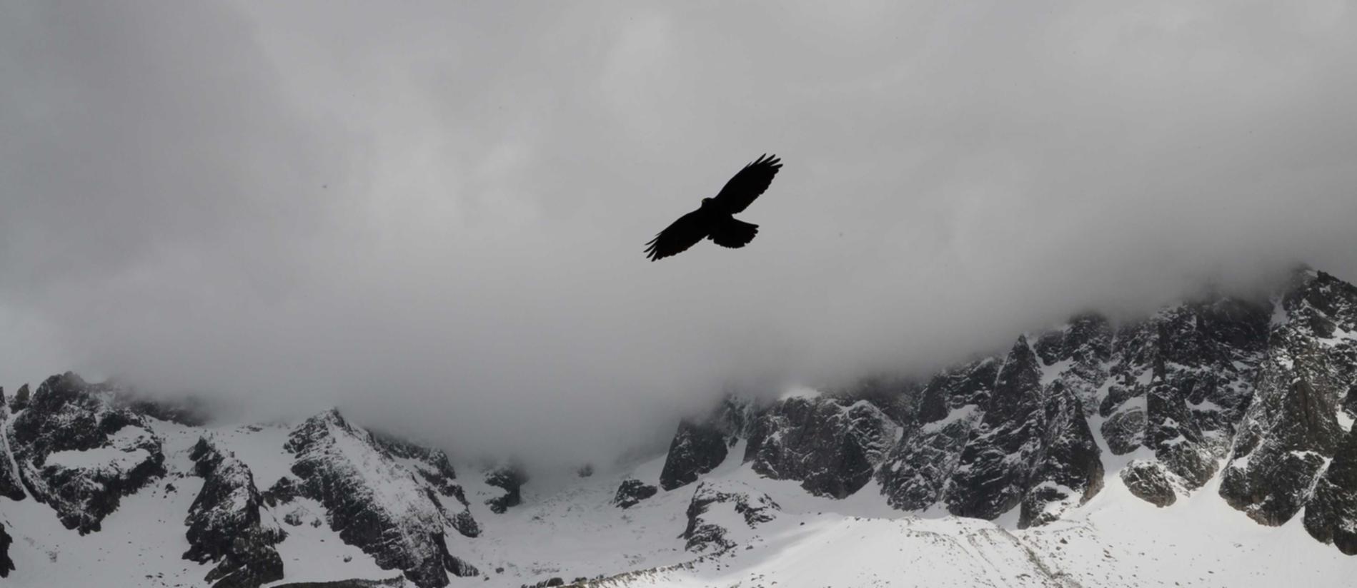 宇宙ip实名账号：品牌推广系统代理平台排名