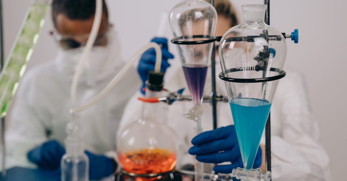 博猫游戏平台招区域代理