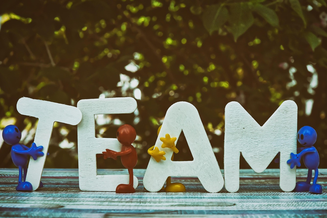 开丰详情下载教程中国人寿app